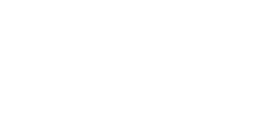 Beetle Eye