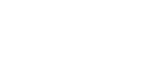 BidX