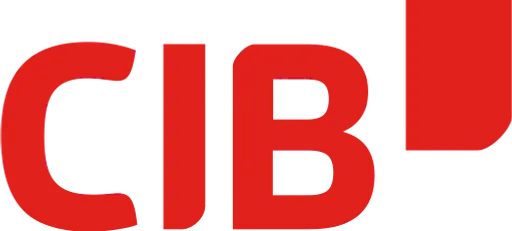 CIB flow