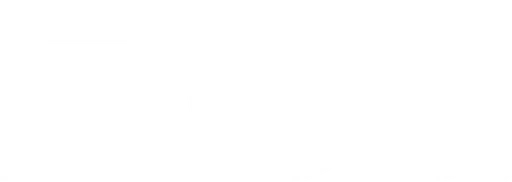 FICO Collection Optimization