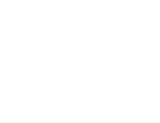 FMX