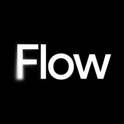 Google Flow