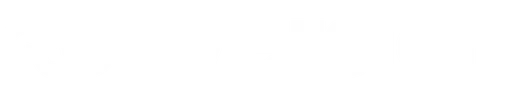 Qonversion
