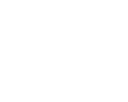 Revelation Pets